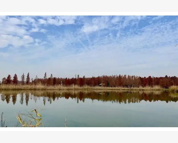 脾胃不好 气血不足：中医角度探讨与调理方法