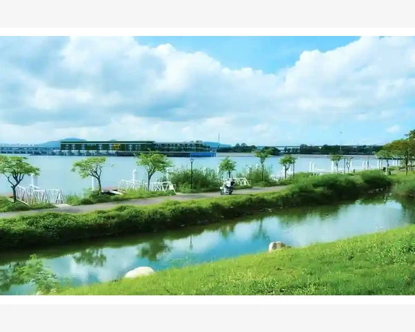 凉拌黄瓜胡萝卜：清爽美味，让你远离暑气侵袭